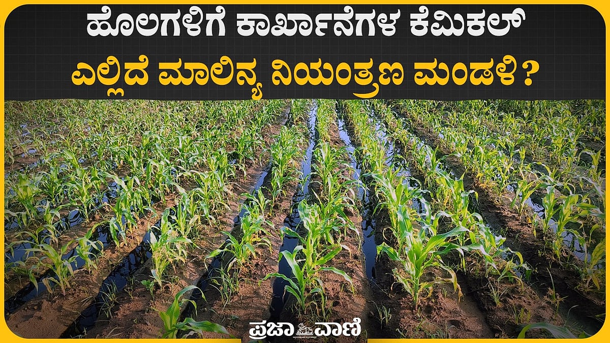 ಗೌರಿಬಿದನೂರಿನಲ್ಲಿ ಹೊಲಗಳಿಗೆ ಕೈಗಾರಿಕಾ ತ್ಯಾಜ್ಯ: ಬೆಳೆ–ಜಲಚರಗಳಿಗೆ ಅಪಾಯ
