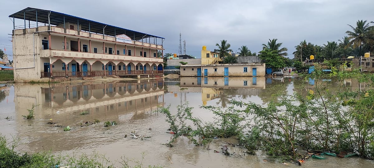 Dharwad Rains | ಧಾರಾಕಾರ ಮಳೆ; ಸಿಡಿಲು ಬಡಿದು 7 ಕುರಿ ಸಾವು