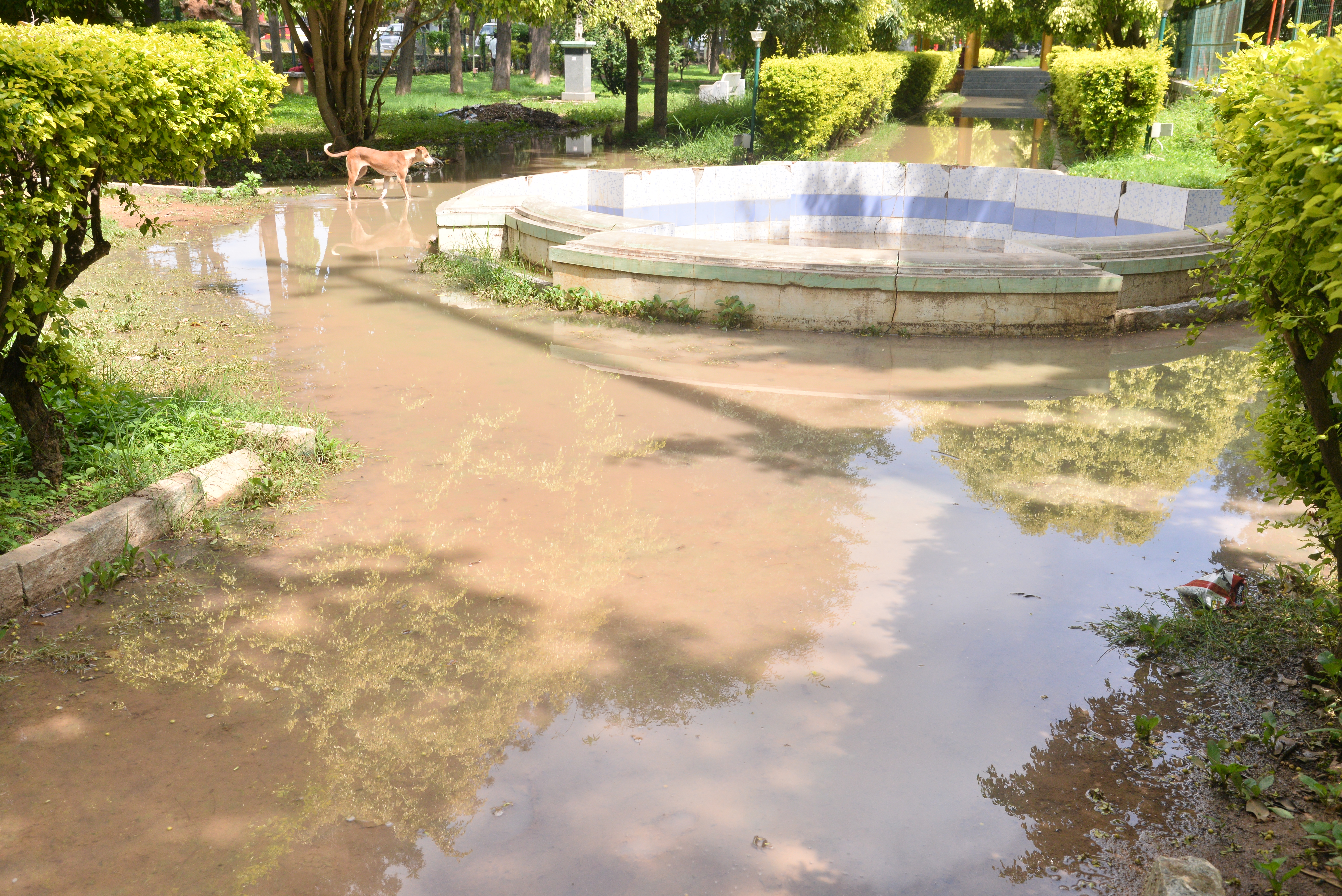ಕೋಲಾರದ ಕುವೆಂಪು ಉದ್ಯಾನ ಜಲಾವೃತವಾಗಿರುವುದು