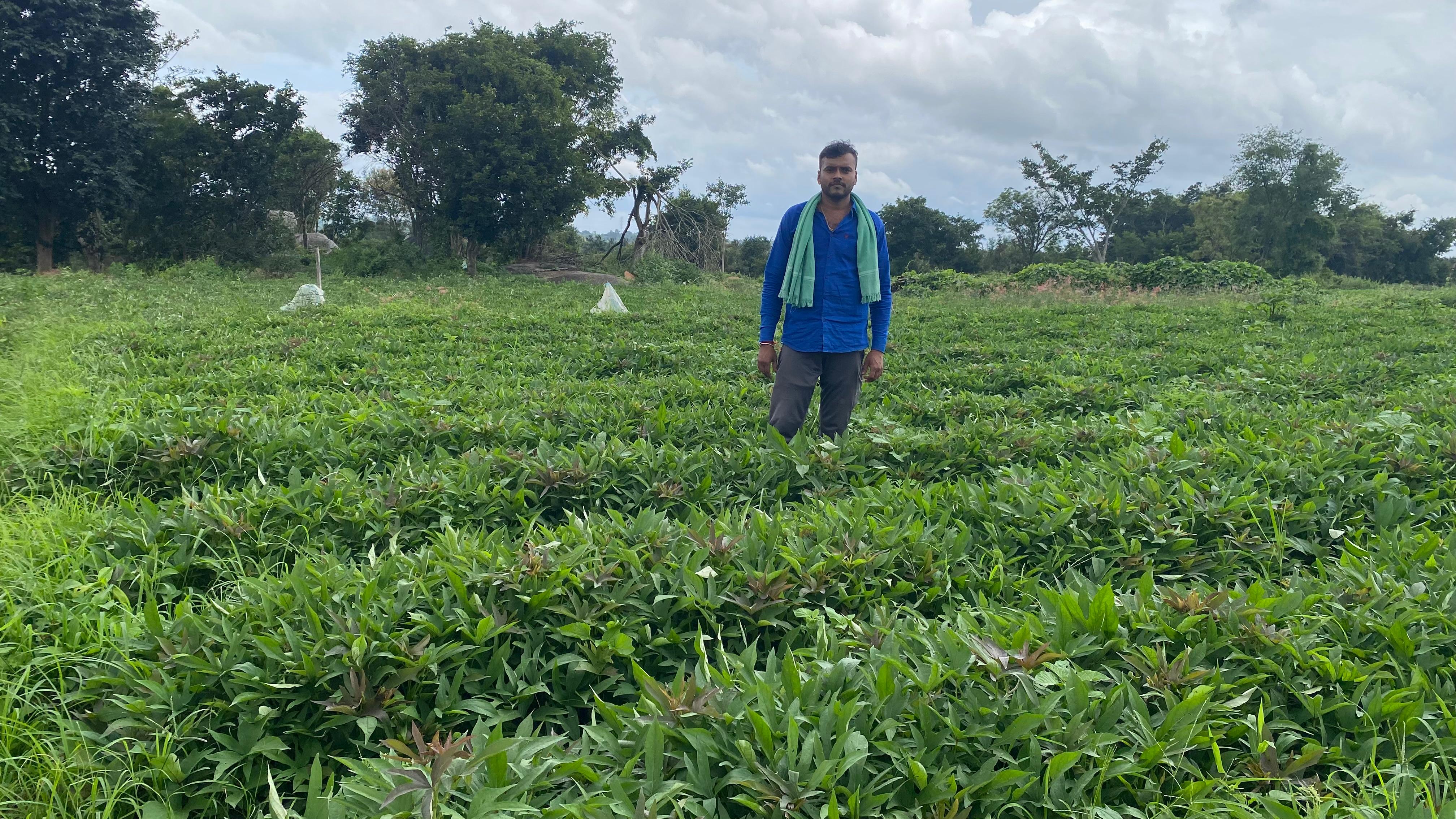 ಗೆಣಸು ಬೆಳೆ ಜತೆ ಯುವ ರೈತ ಚಂದ್ರಶೇಖರ್