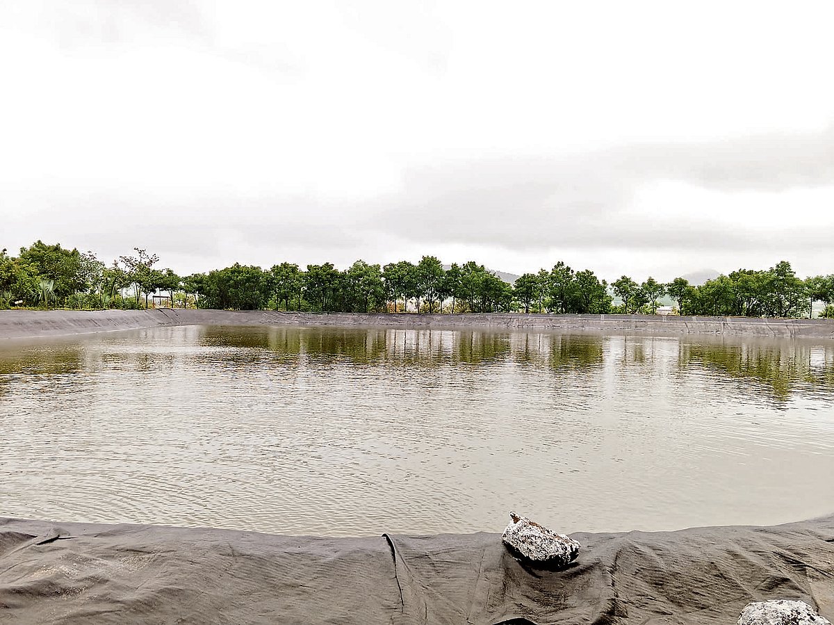 ಹುಚ್ಚನೆಂದು ಕರೆಸಿಕೊಂಡವರ ಹಚ್ಚ ಹಸುರಿನ ಕಥೆ