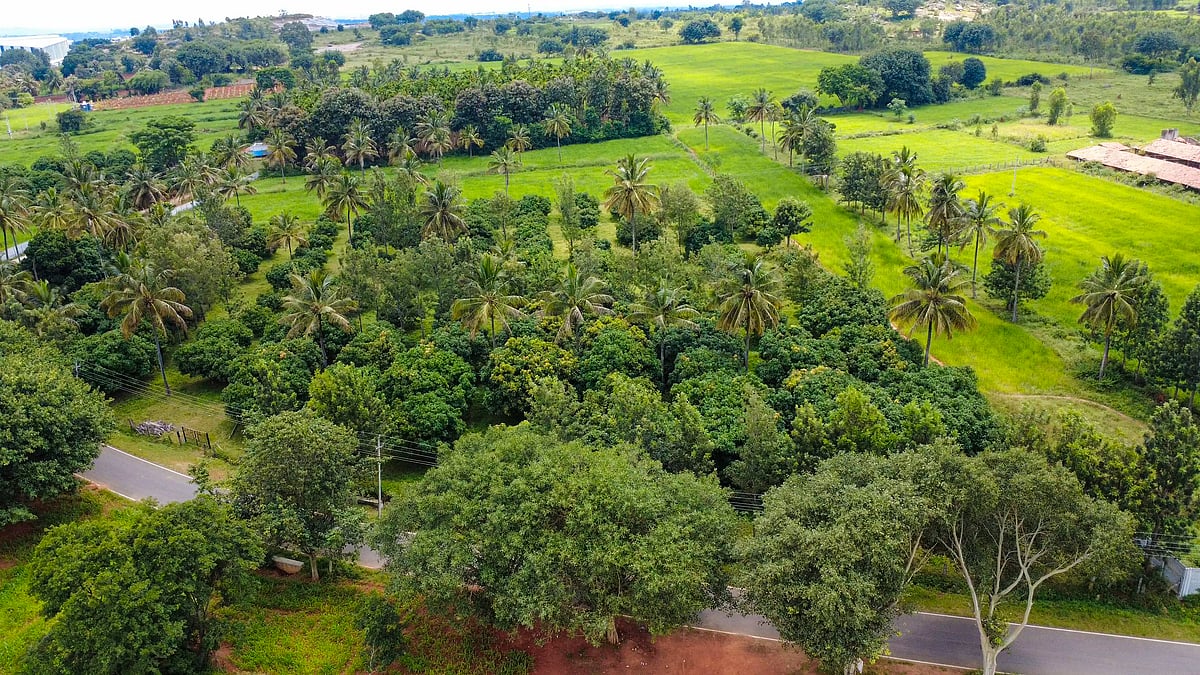ಒಳನೋಟ | ಭೂಮಾಫಿಯಾದ ಮಾಯಾಜಾಲ: ನಿಮ್ಮ ಮನೆಯನ್ನೂ ಕಸಿದಾರು ಹುಷಾರು
