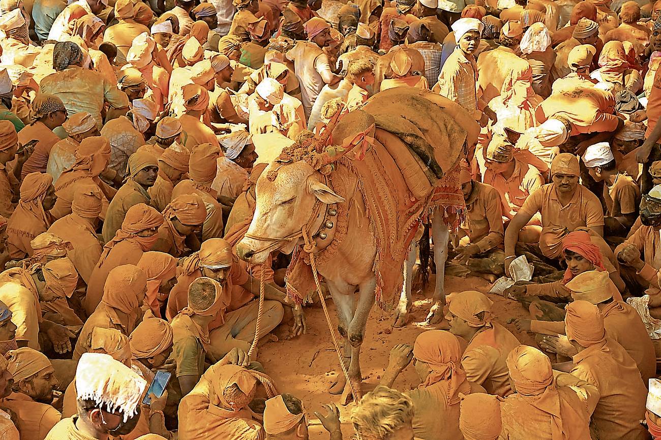 Bhandara Festival: ಗಡಿ ಭಾಗದಲ್ಲಿ ಬಾಂಧವ್ಯ ಬೆಸೆಯುವ ಭಂಡಾರ ಜಾತ್ರೆ