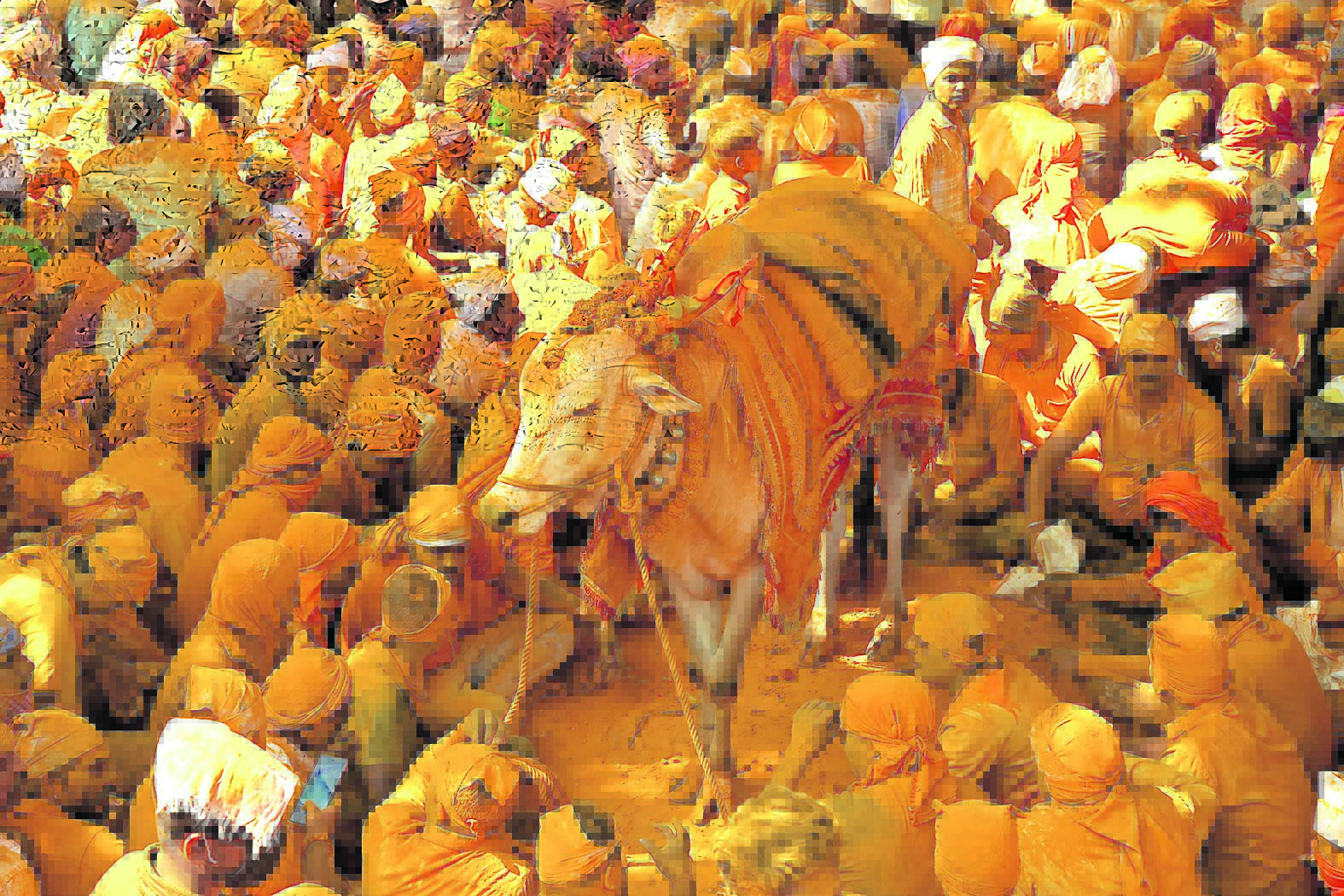 ಭಂಡಾರ ಜಾತ್ರೆಯ ನೋಟ 