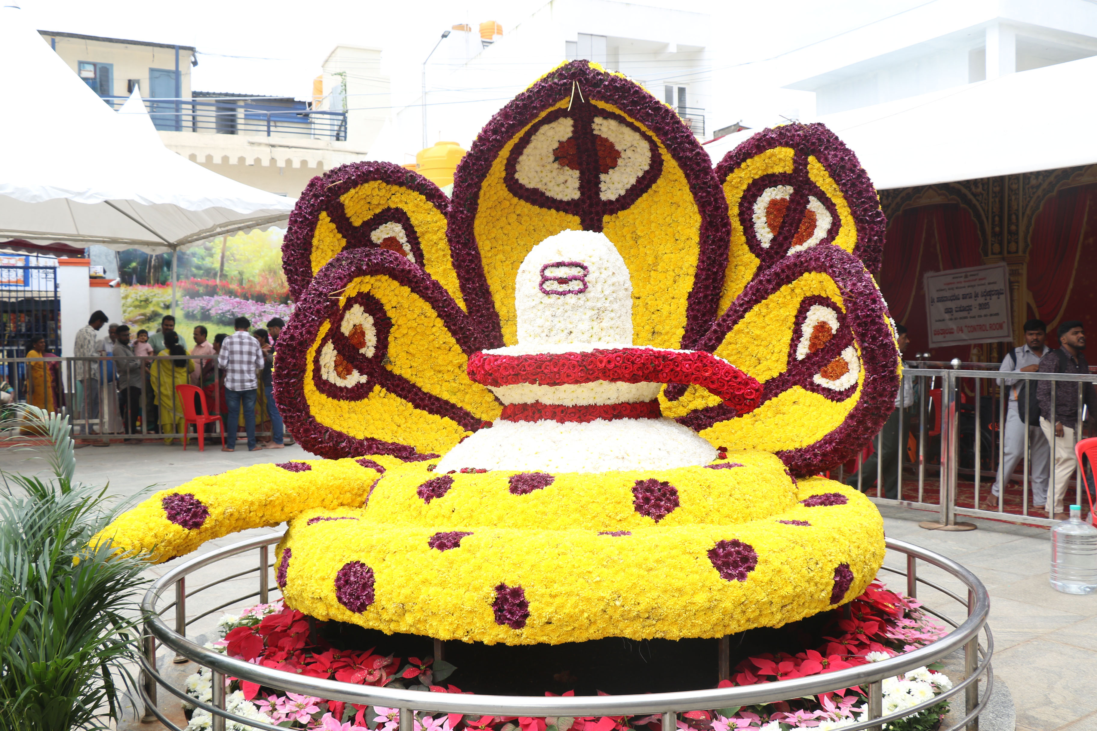 ಹಾಸನಾಂಬ ದೇಗುಲದ ಆವರಣದಲ್ಲಿ ಮಾಡಿರುವ ಪುಷ್ಪಾಲಂಕಾರ