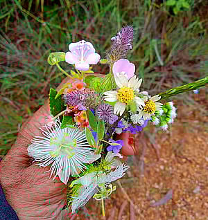 ದೇವರ ಪೂಜೆಗೆ ಈ ಹೂಗಳನ್ನು ಬಳಸುವುದು ಅಶುಭ: ಶಾಸ್ತ್ರ ಹೀಗೆನ್ನುತ್ತದೆ