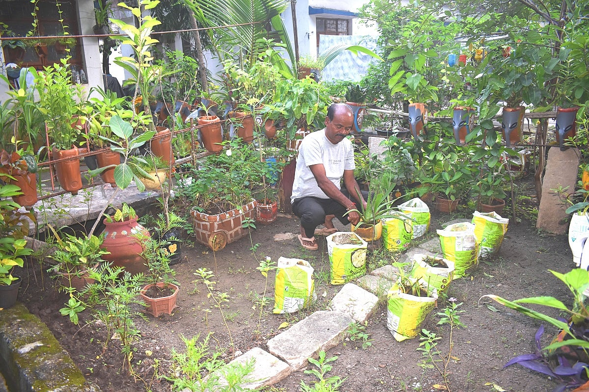 ಸೇಡಂ: ಪ್ಲಾಸ್ಟಿಕ್ ಬಾಟಲಿಗಳಲ್ಲಿ ಅರಳಿದ ಸಸ್ಯ ಕಾಶಿ