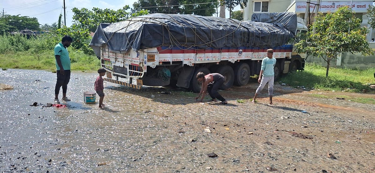 ಮುಳಬಾಗಿಲು: ರಸ್ತೆಗೆ ಹರಿದ ಕೆರೆ ಕೋಡಿ ನೀರಿನಲ್ಲಿ ಮೀನು ಶಿಕಾರಿ 