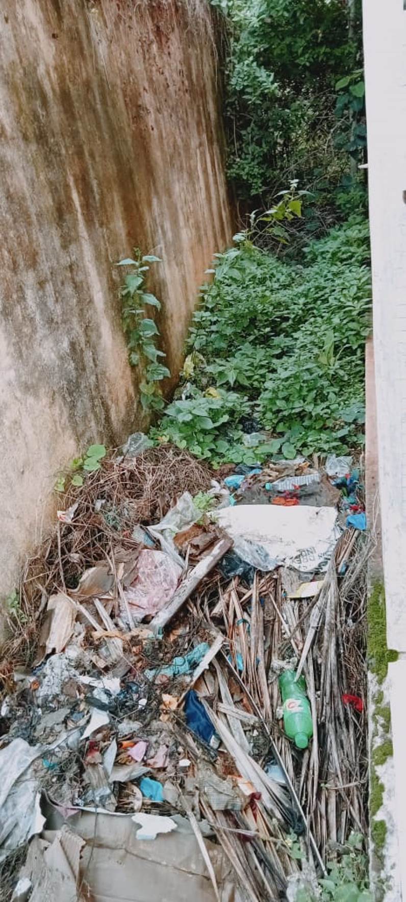 ಬಿಎಂಶ್ರೀ ಭವನ ಪಕ್ಕದಲ್ಲಿ ಕಸದ ರಾಶಿ