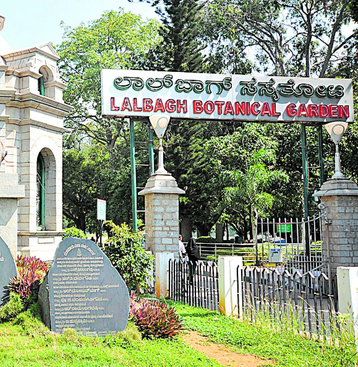 ಸುರಂಗ ರಸ್ತೆ | ಲಾಲ್‌ಬಾಗ್‌ ಬಳಿ ಸರಿಯಾದ ಅಧ್ಯಯನ ಆಗಿಲ್ಲ: ತಜ್ಞರ ಸಮಿತಿ