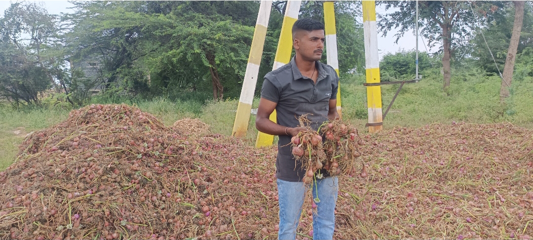ಪಟ್ಟಣದ ಜಕ್ಕಲಿ ರಸ್ತೆಯ ಪಕ್ಕದಲ್ಲಿ ಕೊಳೆಯುತ್ತಿರುವ ಈರುಳ್ಳಿ ಪ್ರದರ್ಶಿಸುತ್ತಿರುವ ರೈತ