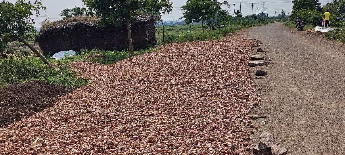 ಹುನಗುಂದ | ಈರುಳ್ಳಿ ದರ ಕುಸಿತ: ರೈತ ಕಂಗಾಲು