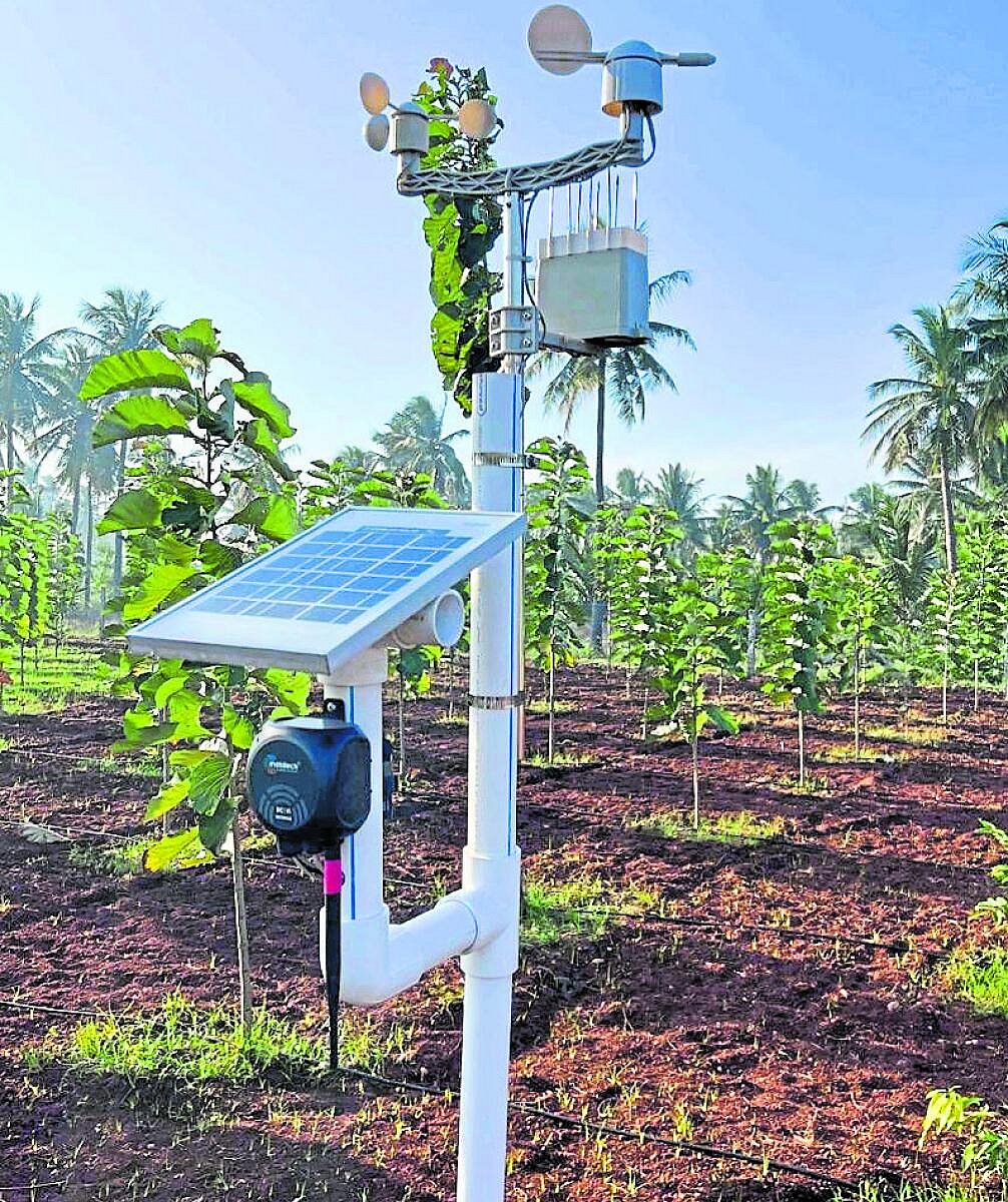 AI Irrigation System: ಎ.ಐ. ನೀರಾವರಿ