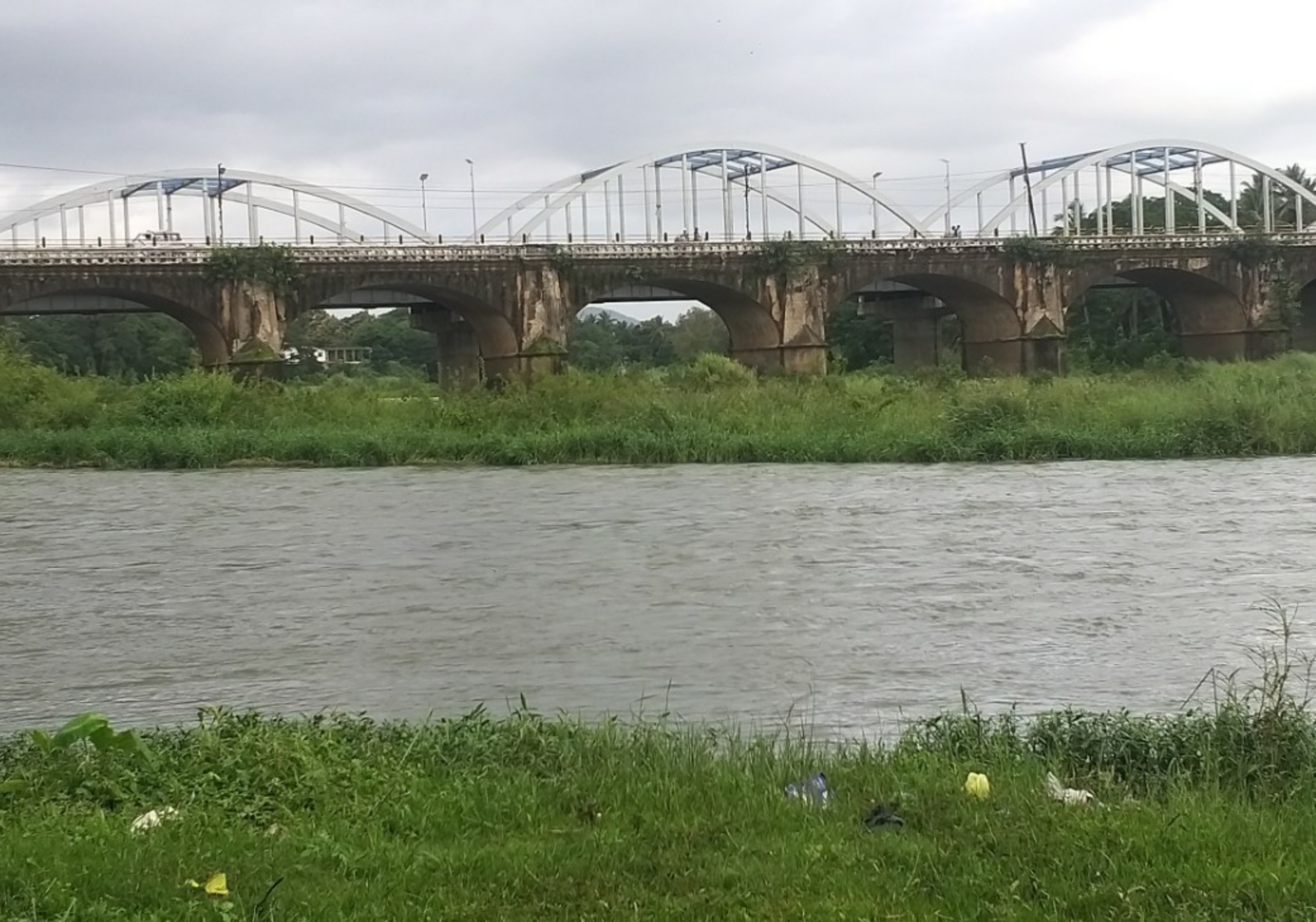 ಸೇತುವೆ ಕೆಳಭಾಗದಲ್ಲಿ ಹರಿಯುವ ನದಿಗೆ ಅಡ್ಡಲಾಗಿ ಗಿಡ ಗಂಟೆಗಳು ಬೆಳೆದುಕೊಂಡಿರುವುದು