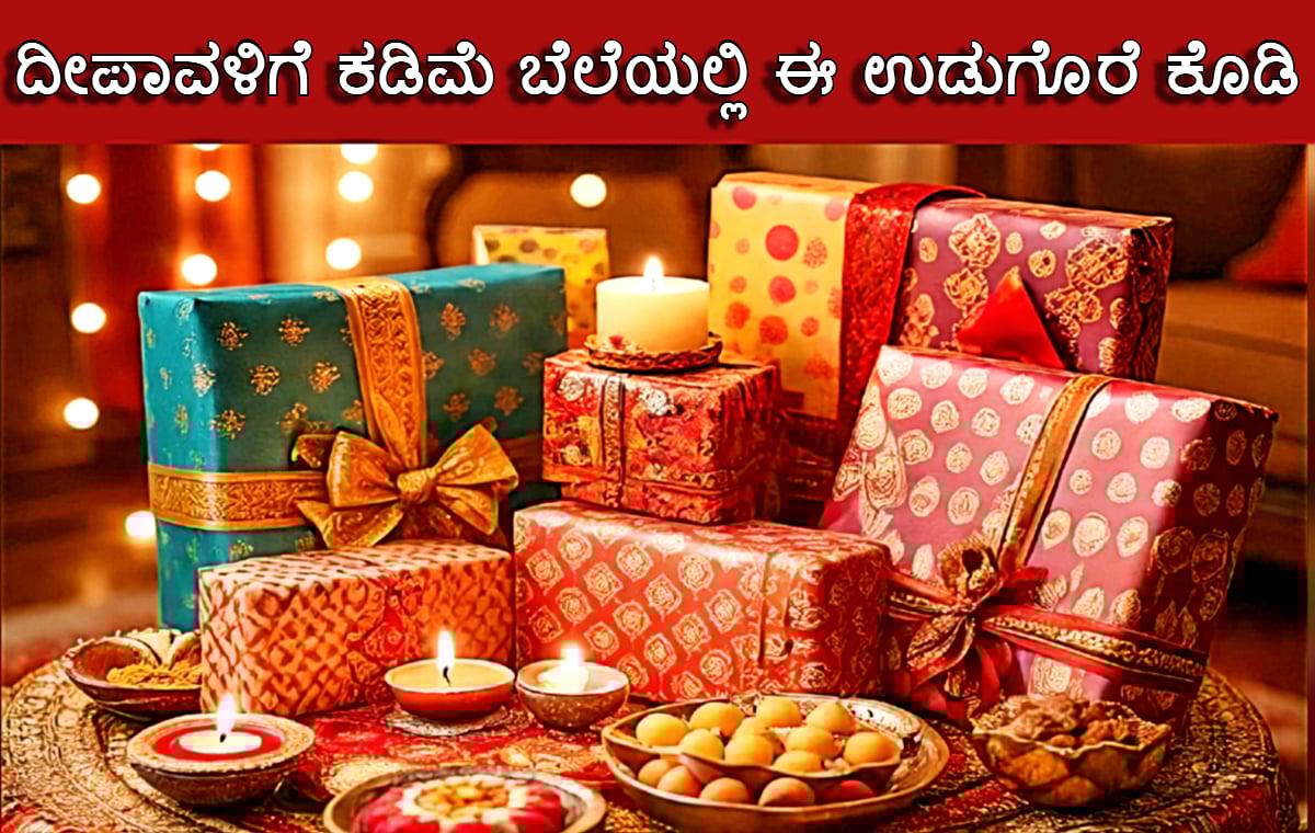 ದೀಪಾವಳಿಗೆ ಉಡುಗೊರೆ ನೀಡುವ ಯೋಜನೆ ಇದೆಯಾ? ಕಡಿಮೆ ಬೆಲೆಗೆ ಇವುಗಳನ್ನು ಕೊಡಿ