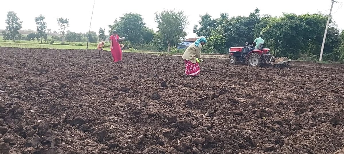 ಹುಬ್ಬಳ್ಳಿ | ಹಿಂಗಾರು: 13‌ ಸಾವಿರ ಹೆಕ್ಟೇರ್‌ ಗುರಿ ಹೆಚ್ಚಳ
