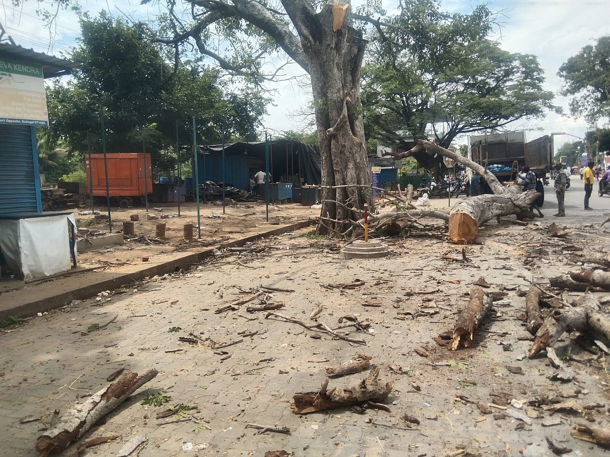 ಕೊಳ್ಳೇಗಾಲ: ಮರ ಕಟಾವು ಮಾಡುವ ವೇಳೆ ಬಿದ್ದ ಕಾರ್ಮಿಕ 