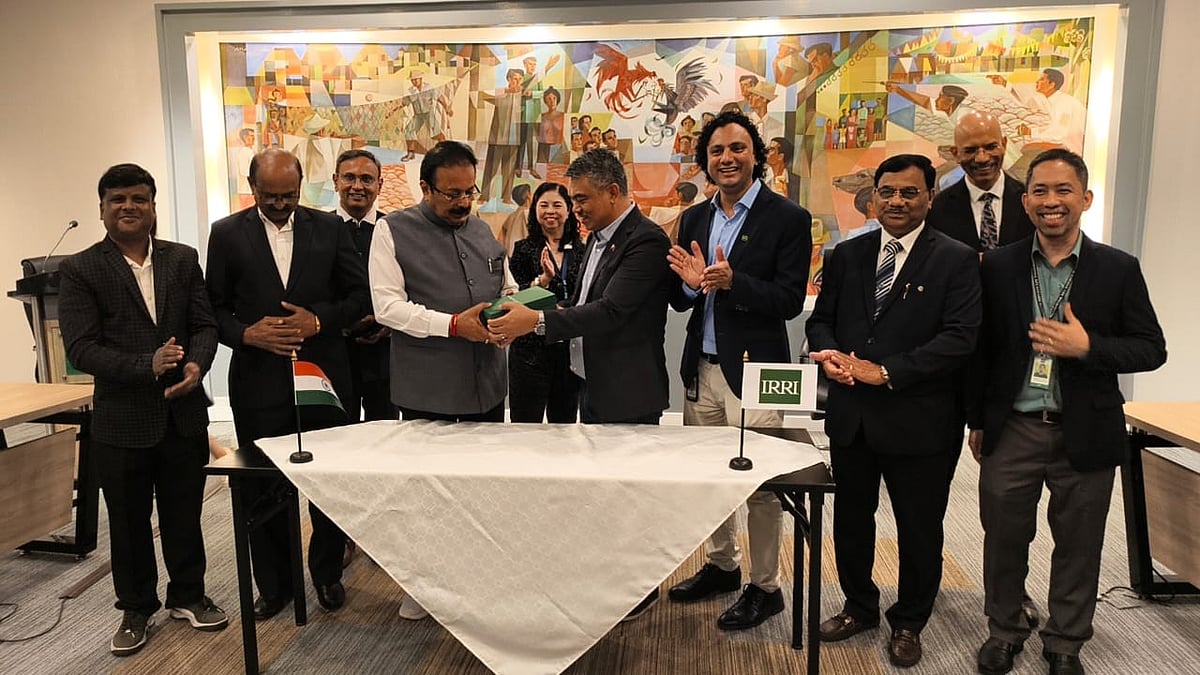 ಭತ್ತ ಸಂಶೋಧನೆ:ಫಿಲಿಪ್ಪೀನ್ಸ್‌ ಸಂಸ್ಥೆ ಜತೆ ಮಂಡ್ಯ ಕೃಷಿ ವಿಶ್ವವಿದ್ಯಾಲಯ ಒಪ್ಪಂದ