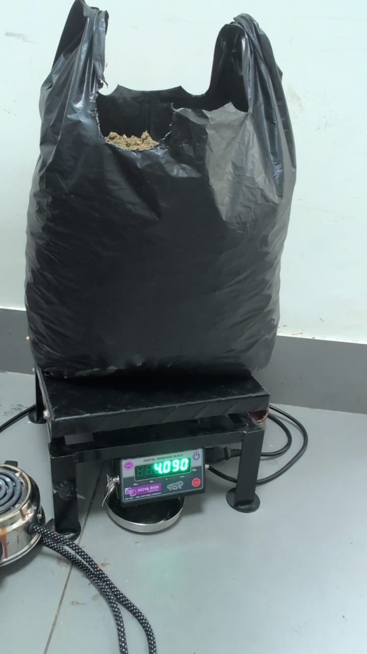 ಕಸ್ಟಮ್ಸ್ ಅಧಿಕಾರಿಗಳು ಜಪ್ತಿ ಮಾಡಿರುವ ಹೈಡ್ರೋ ಗಾಂಜಾ