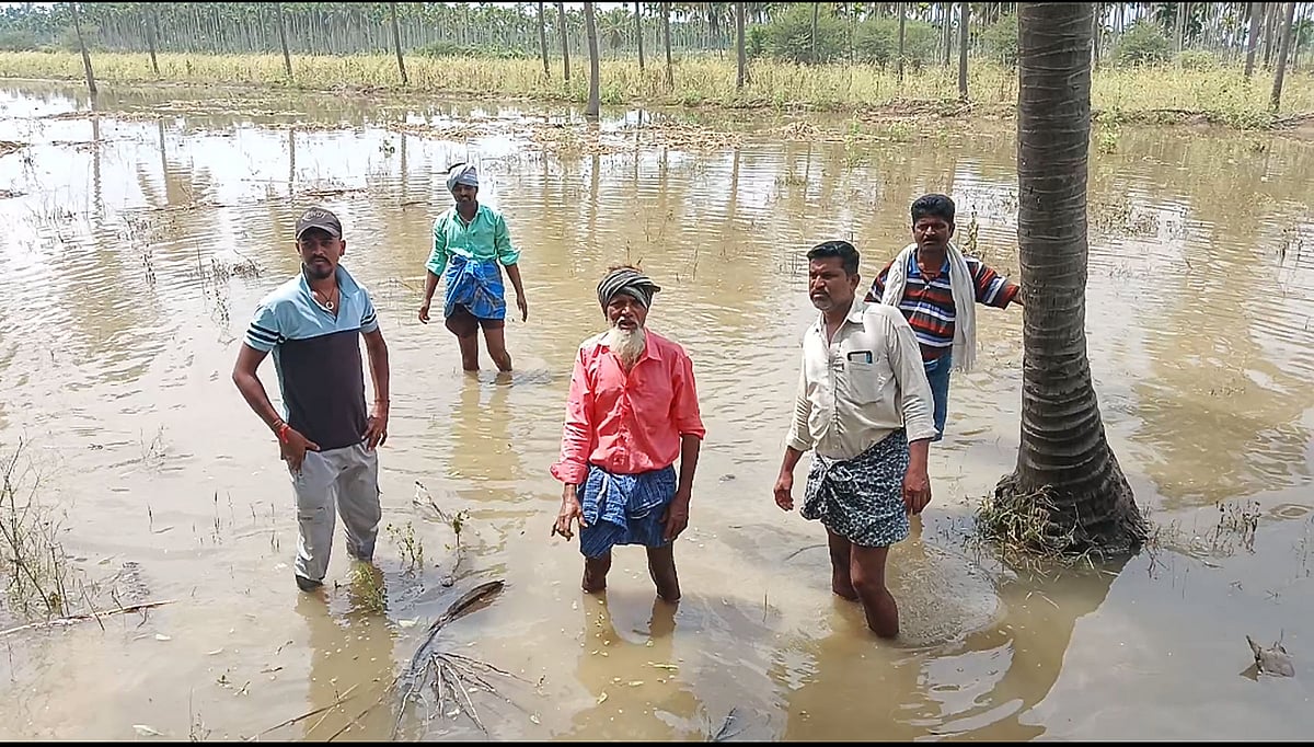 ಸಂತೇಬೆನ್ನೂರು | ಅವೈಜ್ಞಾನಿಕ ಬದುಗಳ ನಿರ್ಮಾಣದಿಂದ ಸಂಕಷ್ಟ: ಜಮೀನುಗಳು ಜಲಾವೃತ