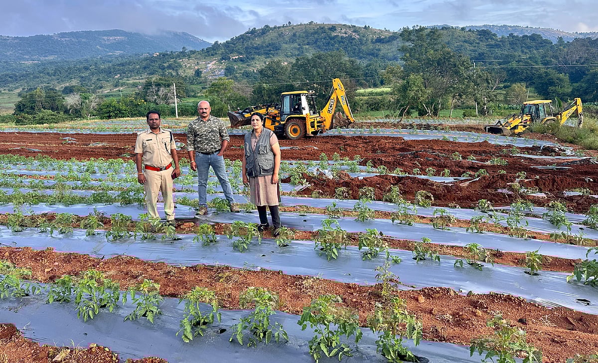 ಶ್ರೀನಿವಾಸಪುರ | ಅರಣ್ಯ ಭೂಮಿ ಒತ್ತುವರಿ: 500 ಎಕರೆ ತೆರವು 
