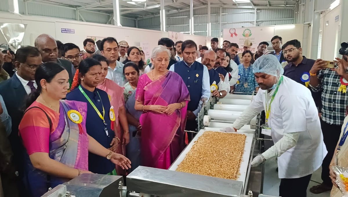 1 ಲಕ್ಷ ಹುಣಸೆ ಗಿಡ ನೆಡಲು ಸಿಎಸ್ಆರ್ ನಿಧಿ: ನಿರ್ಮಲಾ ಸೀತಾರಾಮನ್