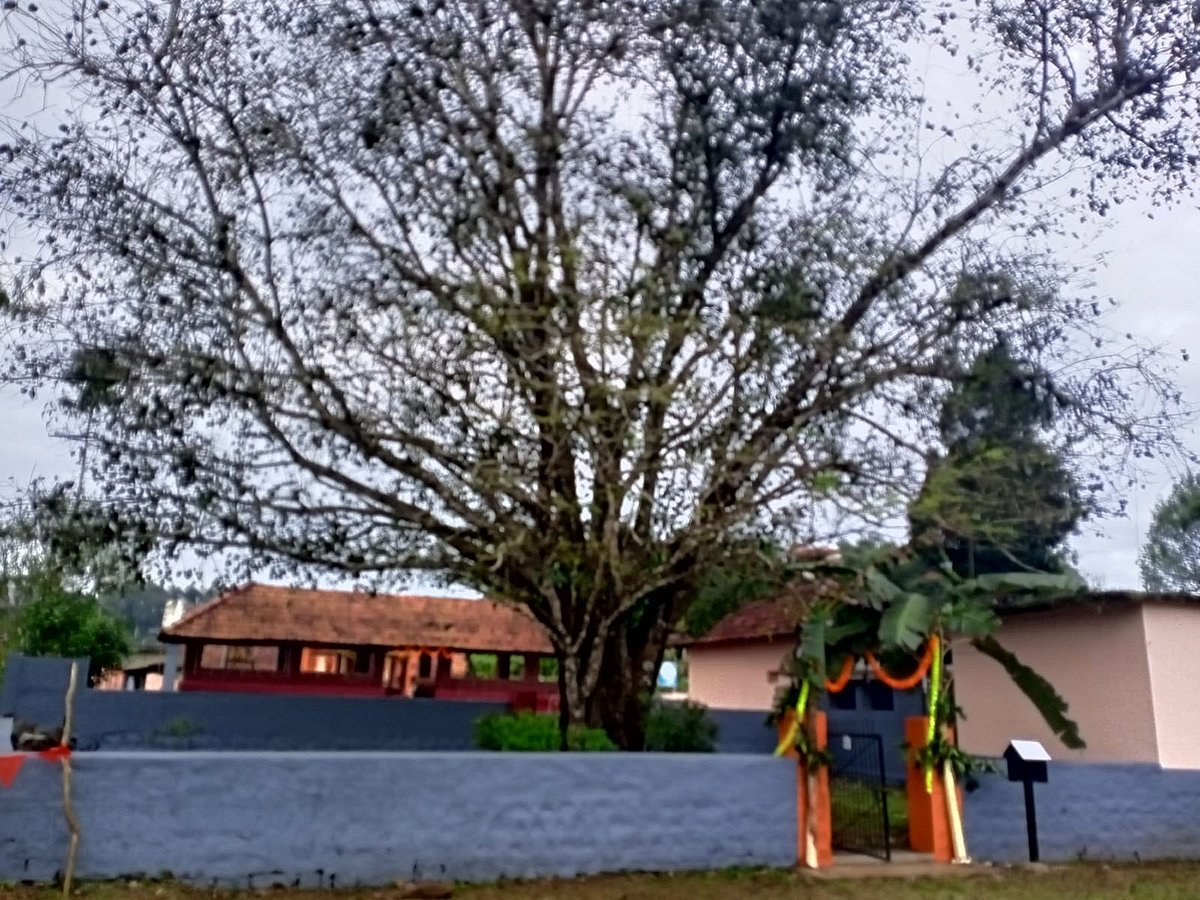 ನಾಪೋಕ್ಲು | ಬಲಮುರಿ ಜಾತ್ರೆ ಇಂದು