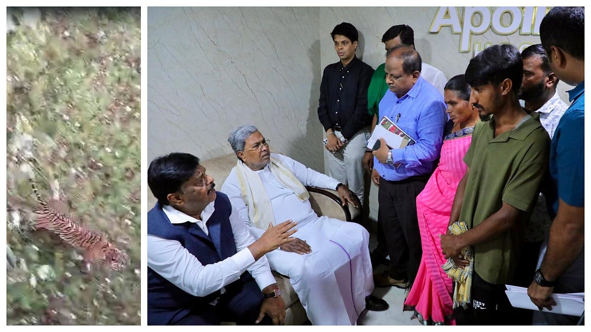 ಹುಲಿ ದಾಳಿ | ‘ಬದುಕು ಕಳೆದುಕೊಂಡವರೆಂದು’ ಪರಿಗಣಿಸಿ ಪೂರ್ಣ ಪರಿಹಾರ: ಸಿಎಂ ತಾಕೀತು