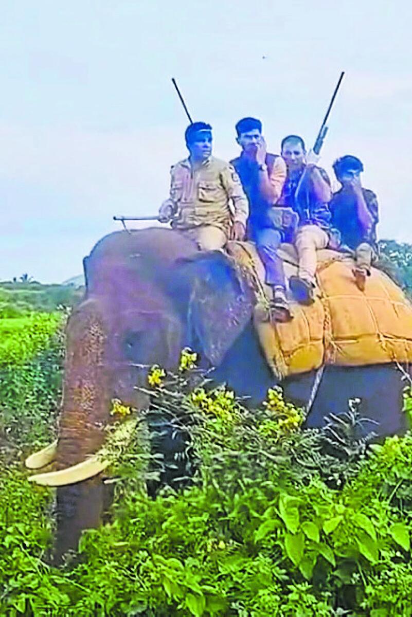 ಕೂಂಬಿಂಗ್‌ ಕಾರ್ಯಾಚರಣೆಯಲ್ಲಿ ‘ಅಭಿಮನ್ಯು’ ಆನೆ, ಮಾವುತ ವಸಂತ