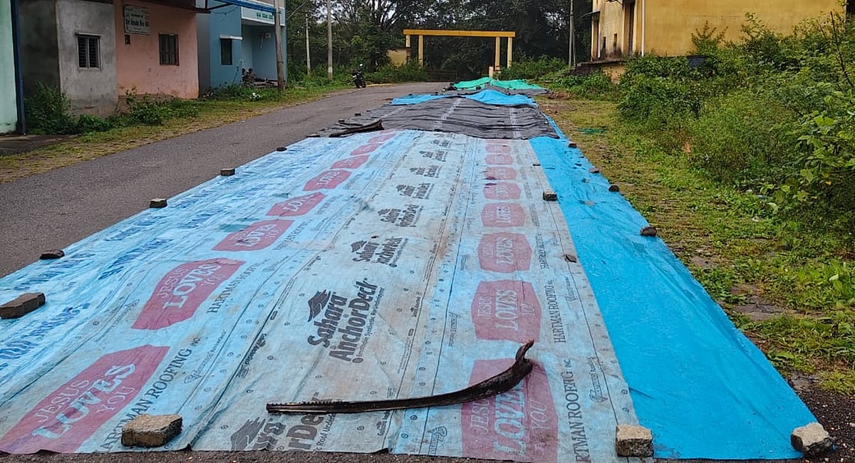 Karnataka Rains | ಮುಂಡಗೋಡ: ರೈತರಲ್ಲಿ ಹೆಚ್ಚಿದ ಆತಂಕ