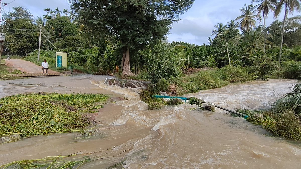 ಅರಕಲಗೂಡು: ಭಾರಿ ಮಳೆಗೆ ಅಪಾರ ಪ್ರಮಾಣದ ಬೆಳೆ ಹಾನಿ
