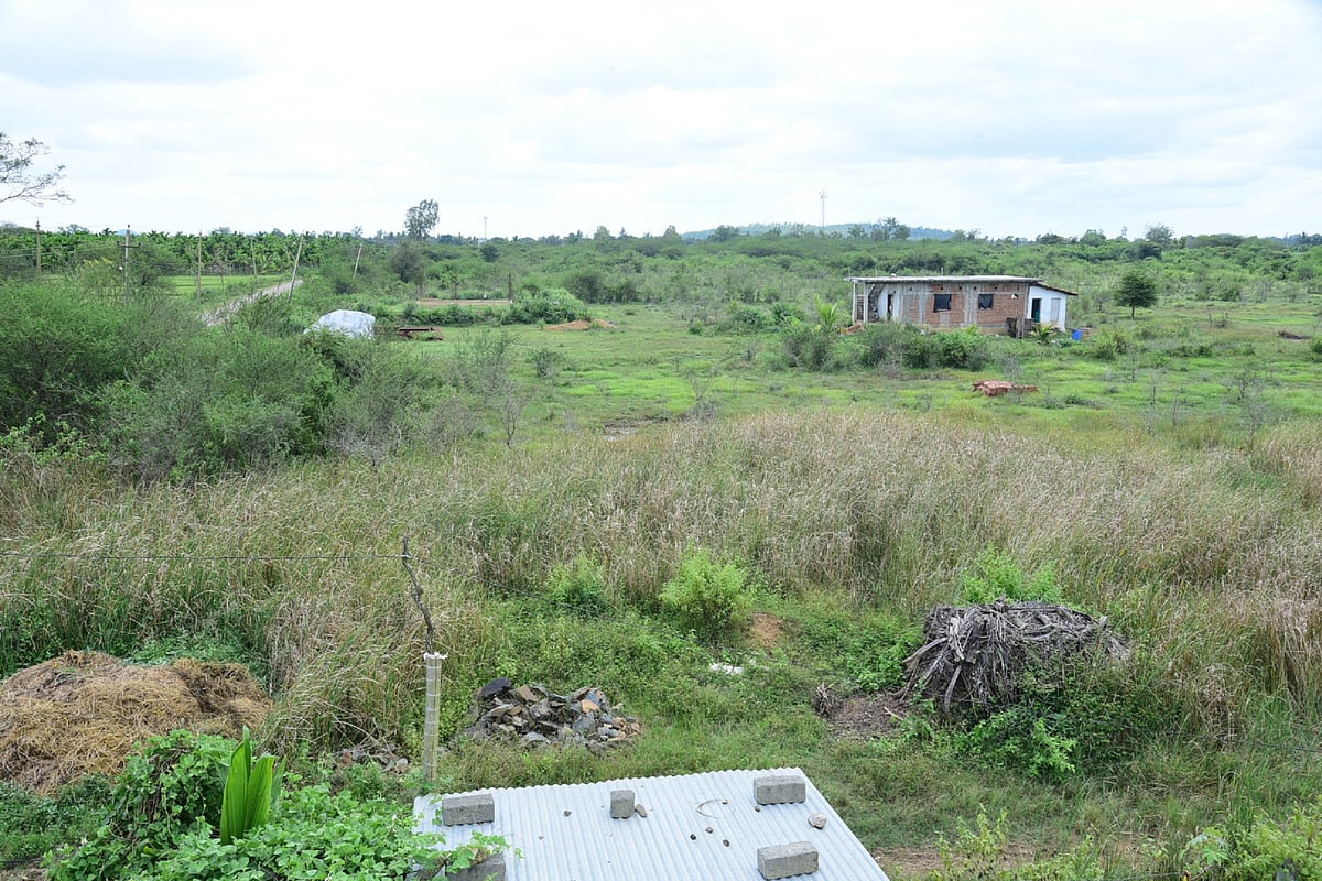 ಲಕಮಾಪುರ|ನೆರೆ ಸಂತ್ರಸ್ತರಿಗಿಲ್ಲ ‘ಭೂಮಿ ಹಕ್ಕು’: ದಾಖಲಾತಿಗಾಗಿ 64 ವರ್ಷಗಳ ಹೋರಾಟ