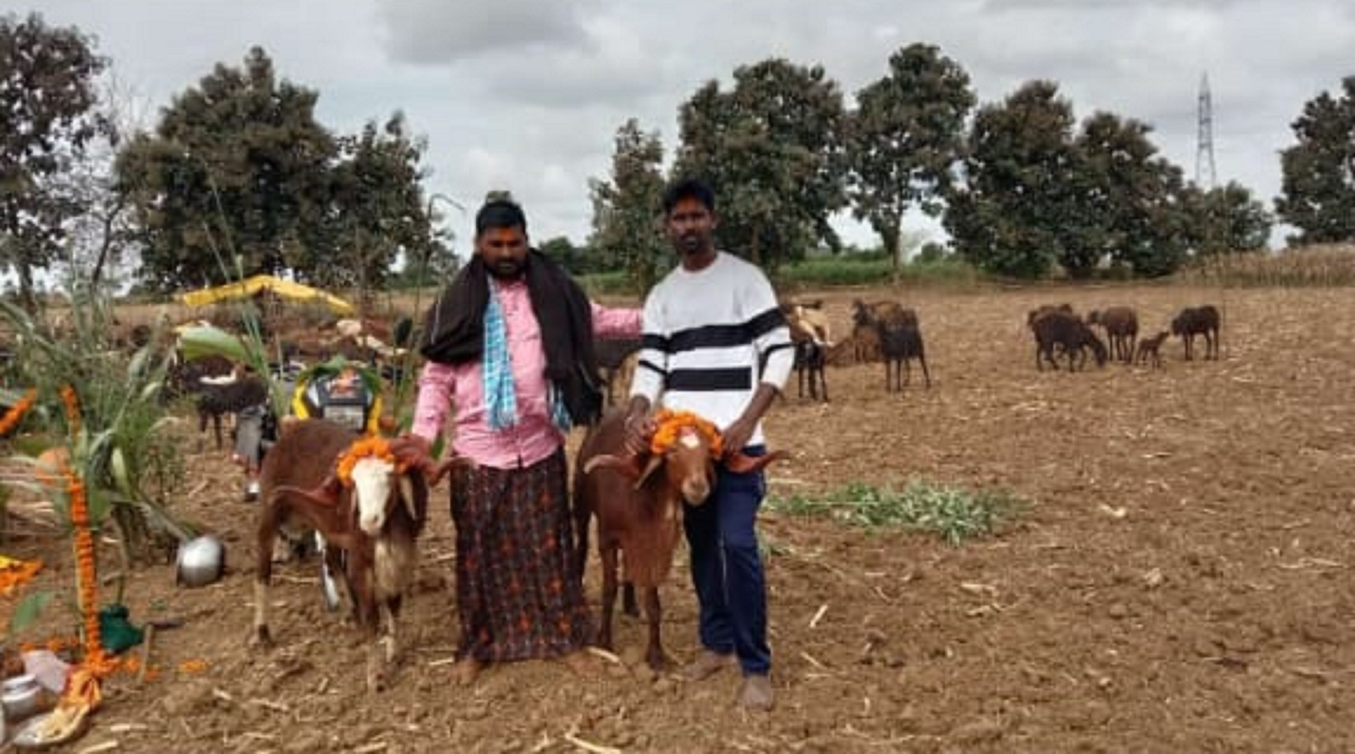 ದೀಪಾವಳಿ ಆಚರಿಸಿದ ಕುರಿಗಾರರು