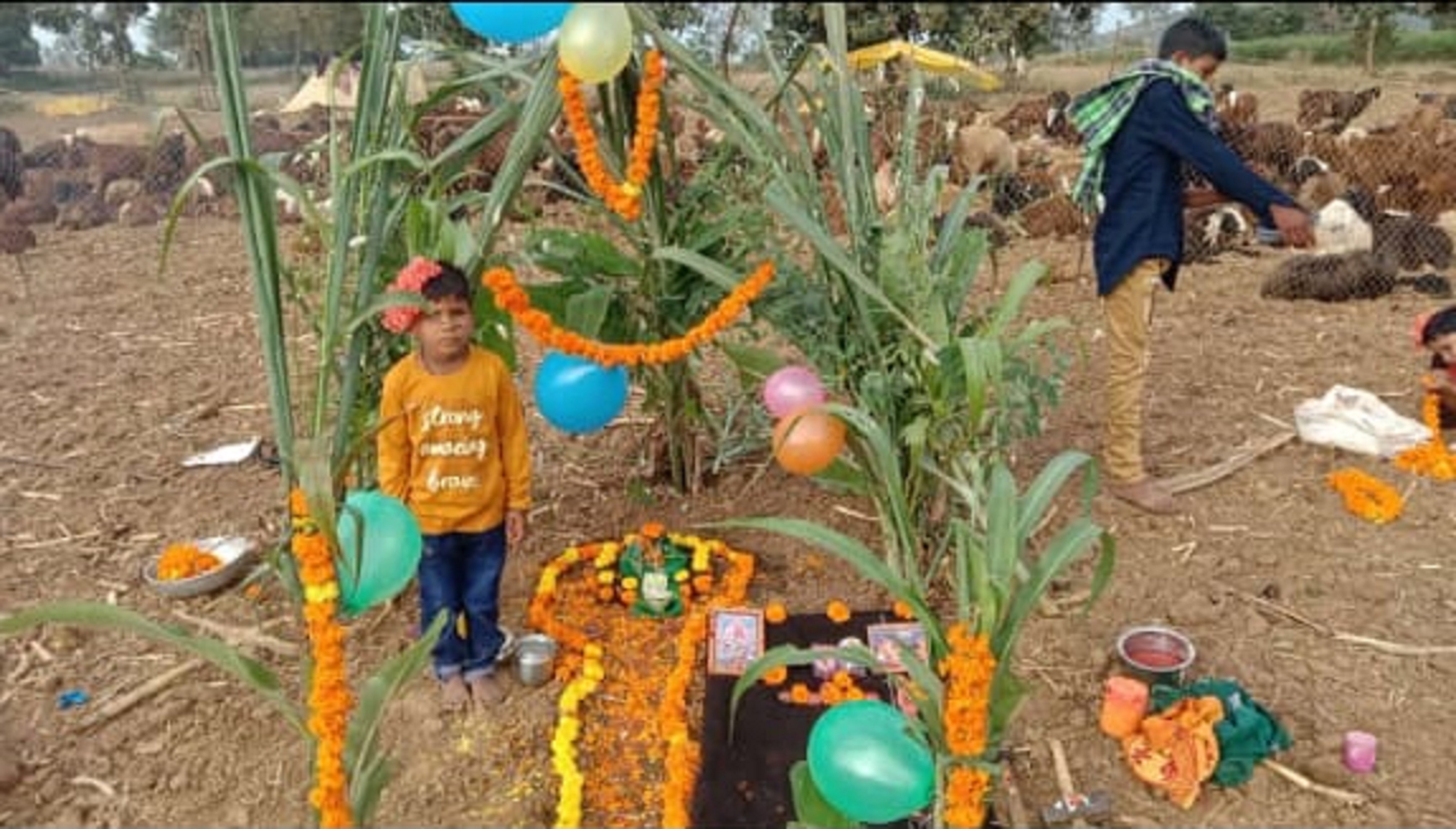 ದೀಪಾವಳಿ ಆಚರಿಸಿದ ಕುರಿಗಾರರು