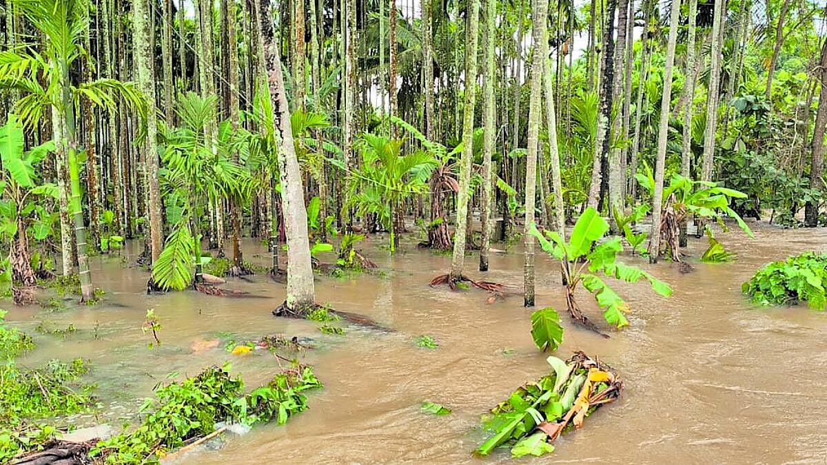 Karnataka Rains| ರಾಜ್ಯದ ವಿವಿಧೆಡೆ ಮಳೆ: ಕೆರೆ ಕೋಡಿ, ಬೆಳೆ ಹಾನಿ 