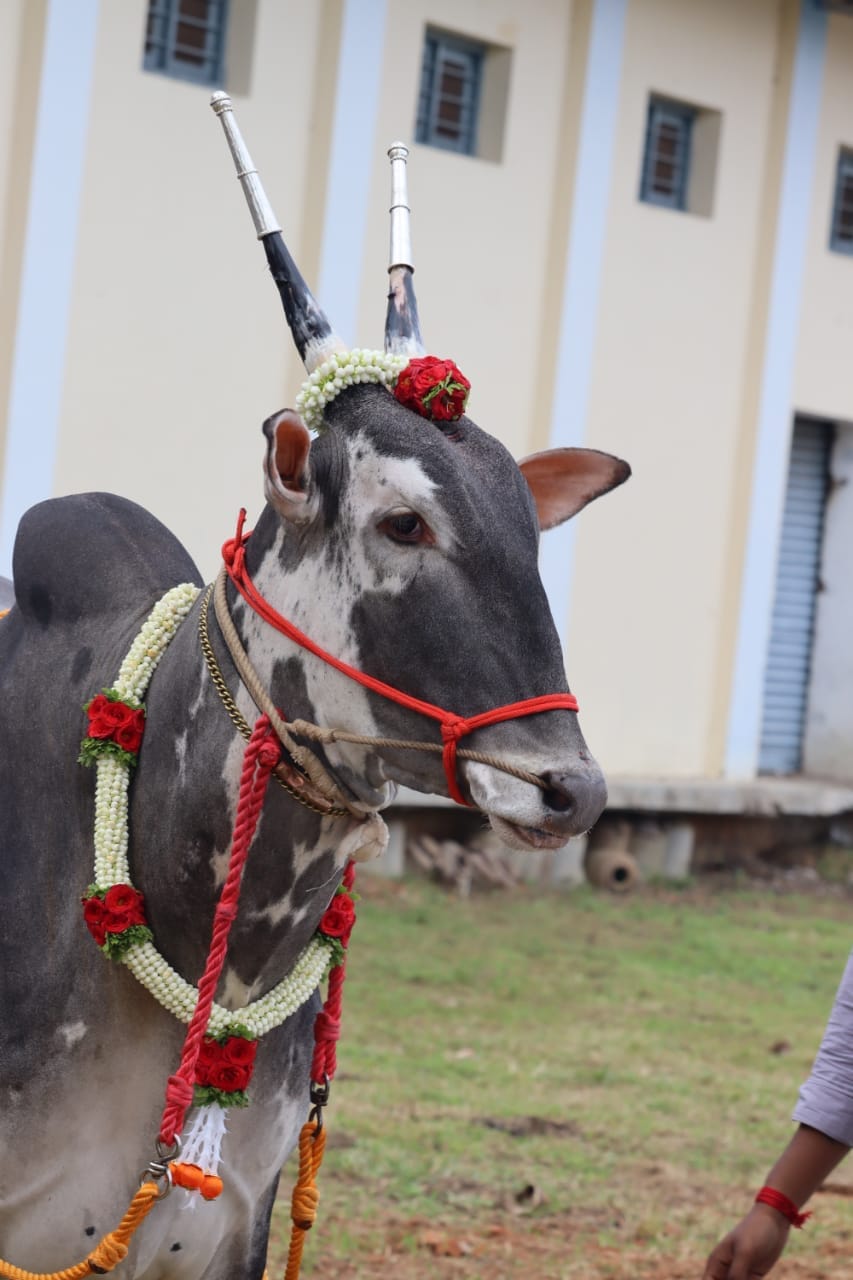 ಪ್ರಜಾವಾಣಿ ಚಿತ್ರ