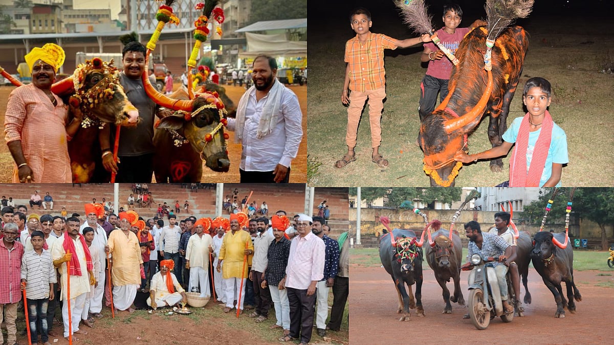 Deepavali 2025:  ದನಗಳೇ ನಮ್ಮನೆ ಧನಲಕ್ಷ್ಮೀಯರು..