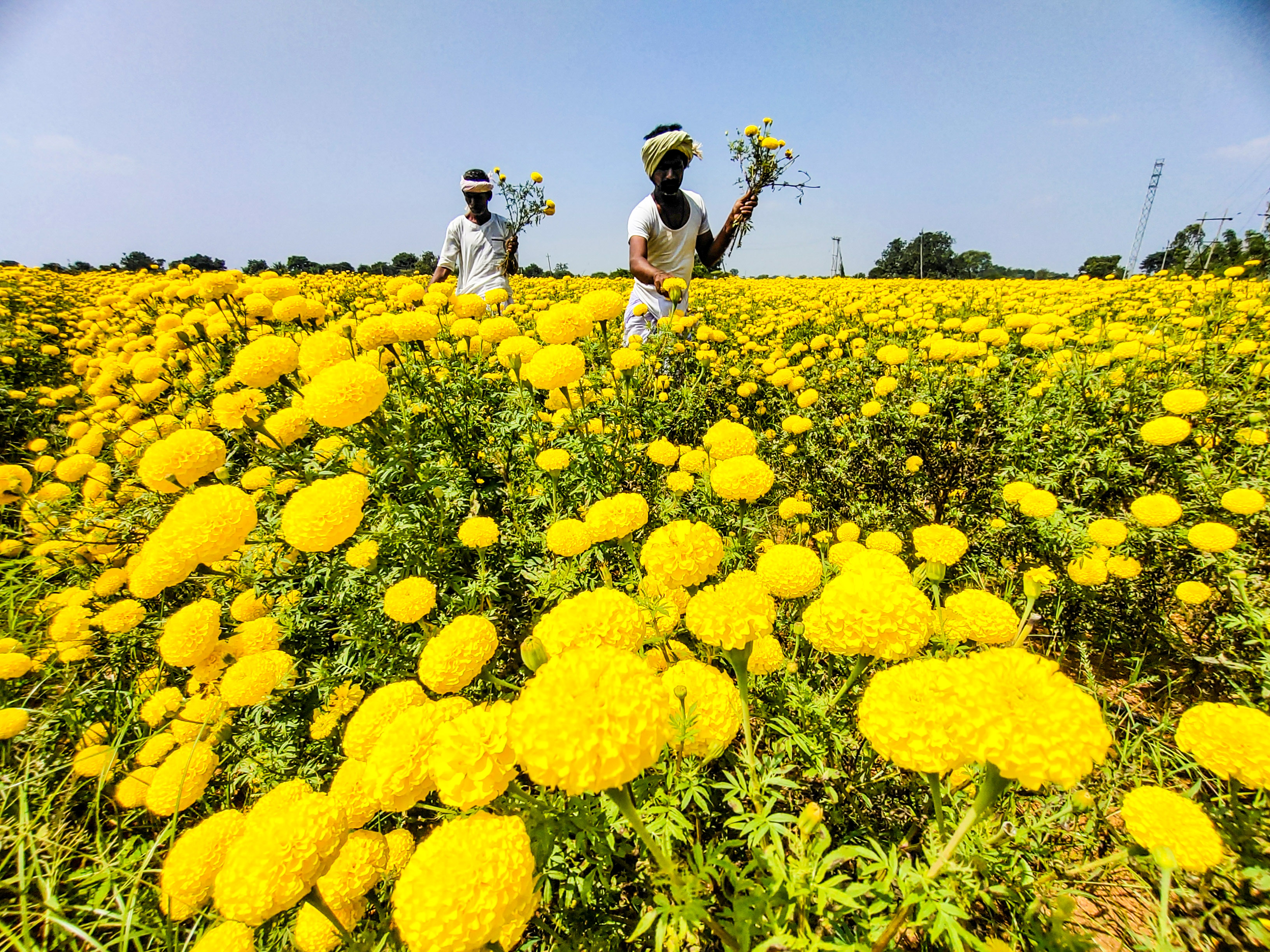ಪ್ರಜಾವಾಣಿ ಚಿತ್ರ