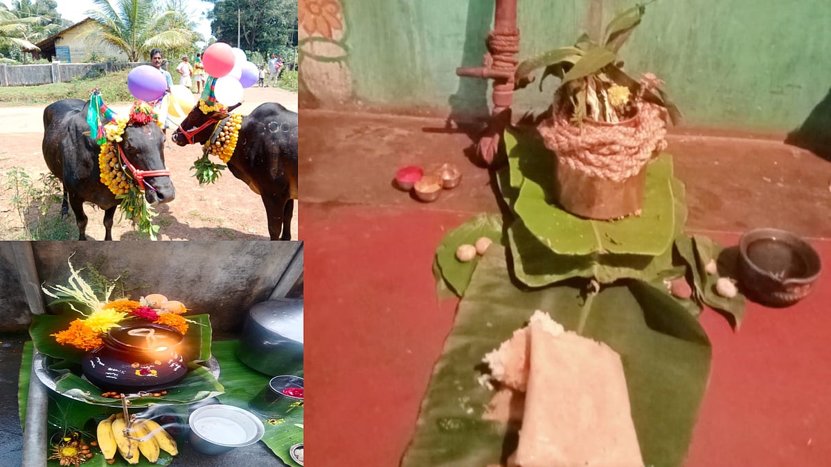 
ಕಾನ್‌ದೀವರ ದೀಪಾವಳಿ: ಇಲ್ಲಿದೆ ಸಂಪೂರ್ಣ ಮಾಹಿತಿ