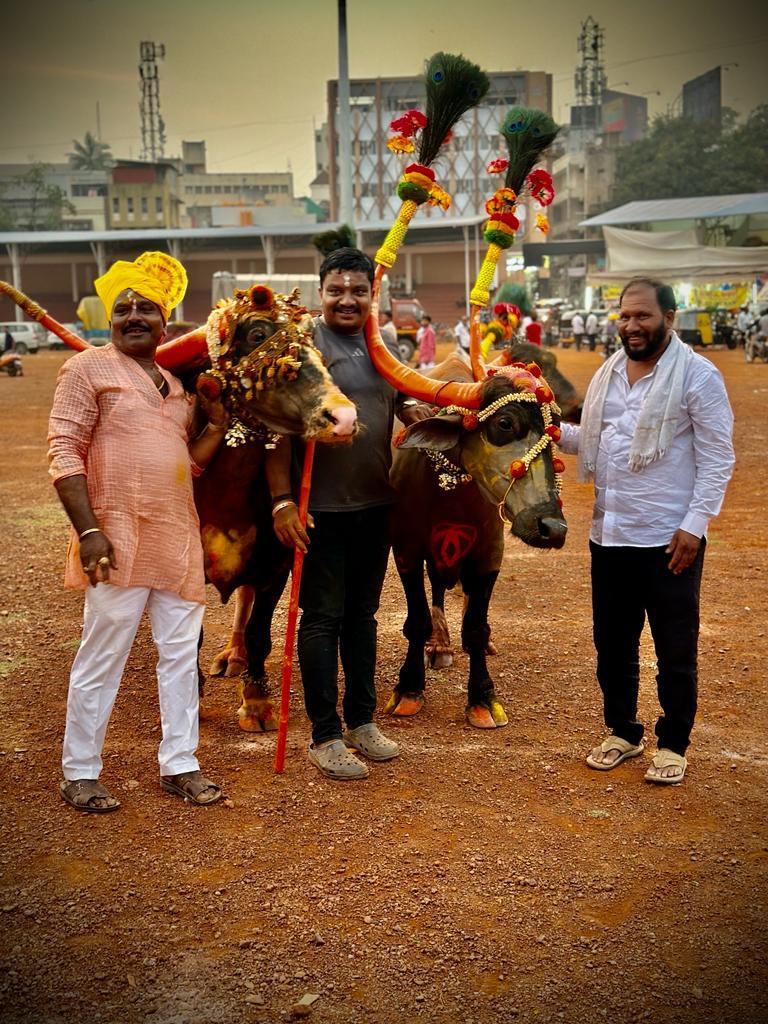 ದೀಪಾವಳಿ ಬಲಿಪಾಡ್ಯಮಿಯಂದು ಸಿಂಗರಿಸಿರು ಎಮ್ಮೆಗಳೊಂದಿಗೆ ಗೌಳಿಗ ಸಮುದಾಯದವರು