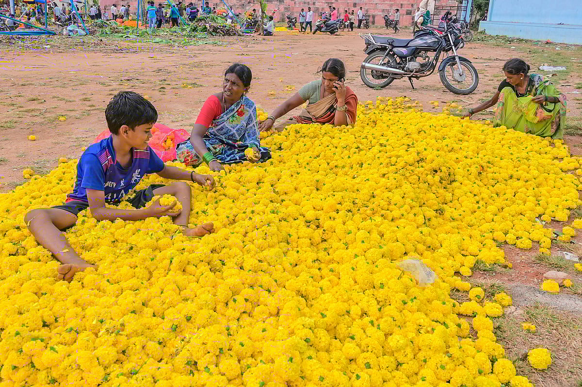 ಕೊಪ್ಪಳ | ‘ಅಲೆಮಾರಿ ವ್ಯಾಪಾರಿ’ಗಳಿಗೆ ಹಬ್ಬ ಆಚರಿಸದಿದ್ದರೂ ಭರಪೂರ ಖುಷಿ!