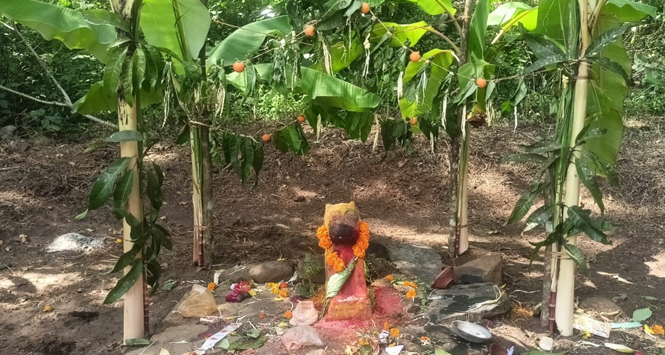 ಮುಂಡಗೋಡ ತಾಲ್ಲೂಕಿನ ಬೆಡಸಗಾಂವ್‌ ಗ್ರಾಮದ ಅರಣ್ಯಪ್ರದೇಶದಲ್ಲಿರುವ ಹುಲಿದೇವರು