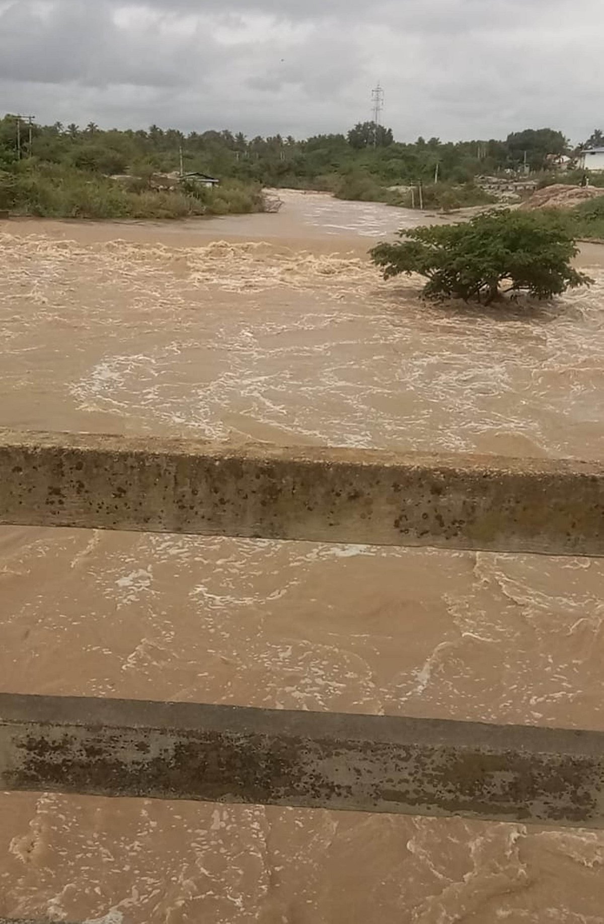 ಕಡೂರು: ಮುಂದುವರಿದ ಮಳೆಯ ಅಬ್ಬರ; ಕೋಡಿ ಬಿದ್ದ ಕೆರೆ, 56 ಮನೆ ಕುಸಿತ