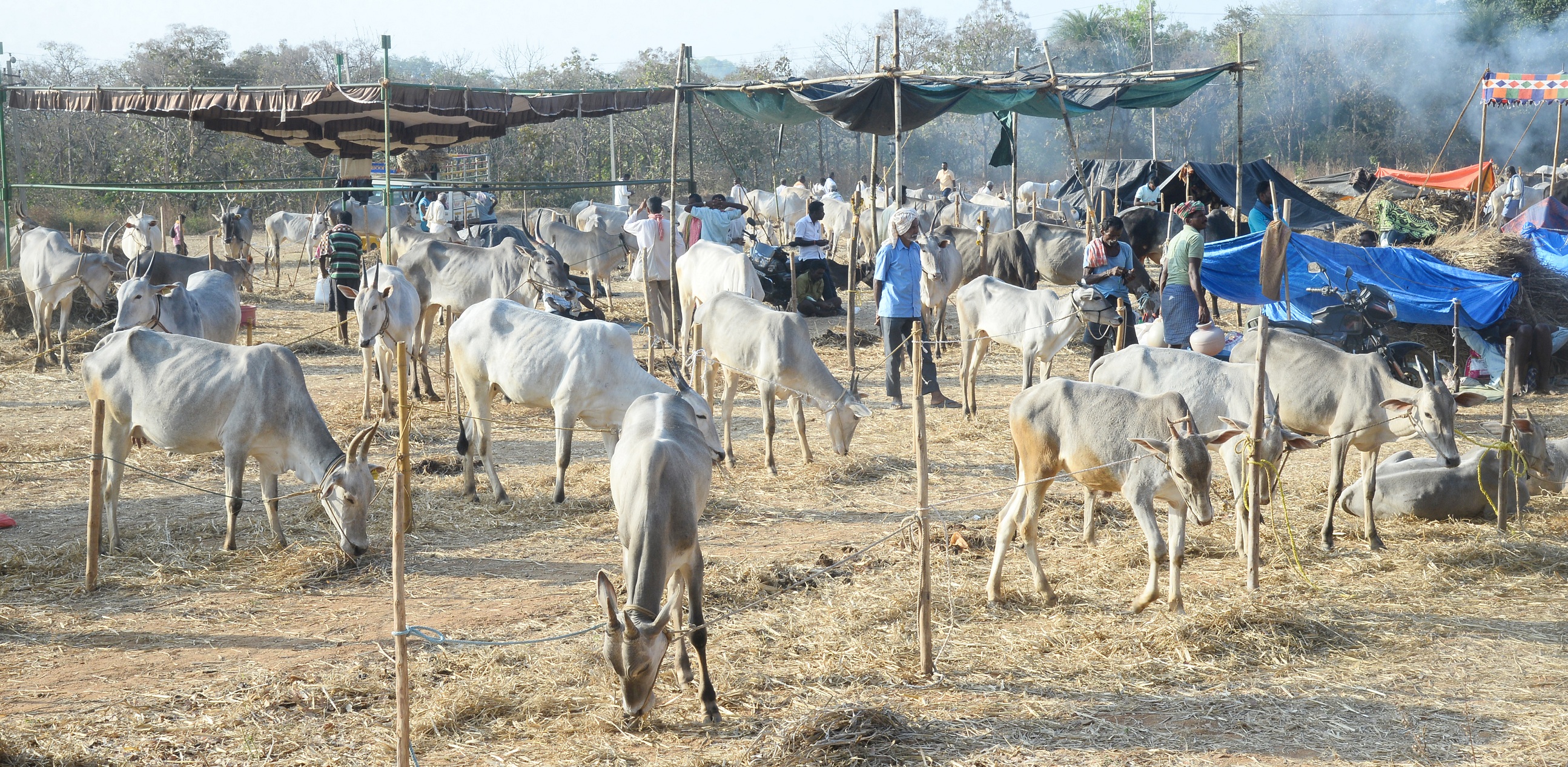 (ಸಾಂದರ್ಭಿಕ ಚಿತ್ರ)