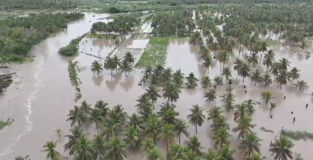 ಚಿಕ್ಕಮಗಳೂರು | ಭಾರಿ ಮಳೆಗೆ ತೆಂಗಿನ ತೋಟಗಳು ಜಲಾವೃತ; ರೈತನ ಶವ ಪತ್ತೆ