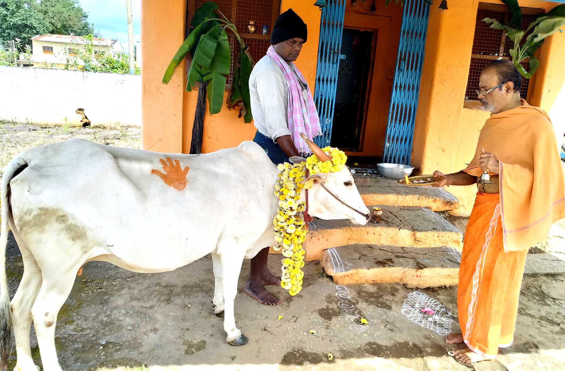 ಬಸವಾಪಟ್ಟಣದ ಆಂಜನೇಯಸ್ವಾಮಿ ದೇವಾಲಯದಲ್ಲಿ ದೀಪಾವಳಿ ಹಬ್ಬದ ಅಂಗವಾಗಿ ಬುಧವಾರ ಗೋಪೂಜೆ ಸಲ್ಲಿಸಲಾಯಿತು