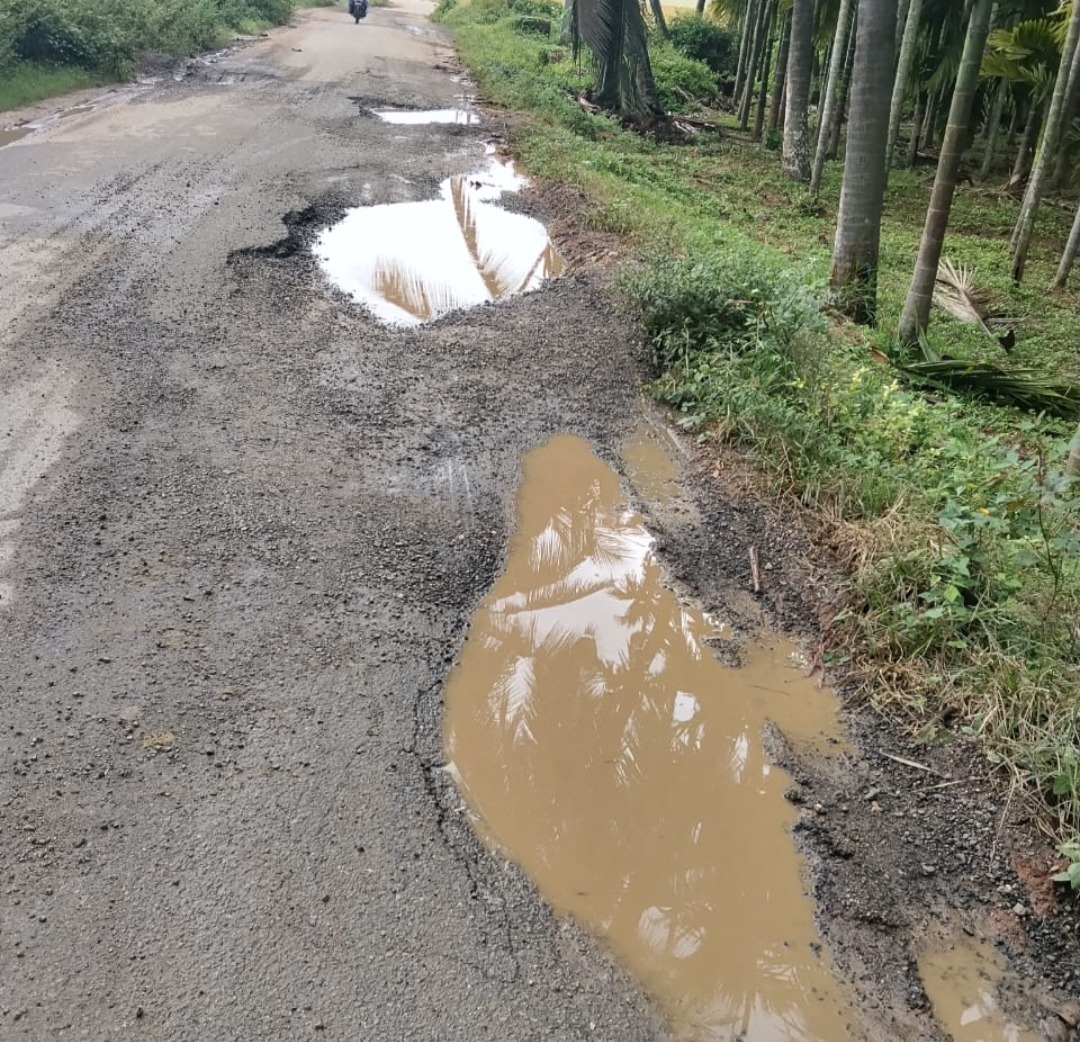 ಮರಳಪ್ಪನಹಳ್ಳಿ- ತಾಳಗುಂದ ರಸ್ತೆ