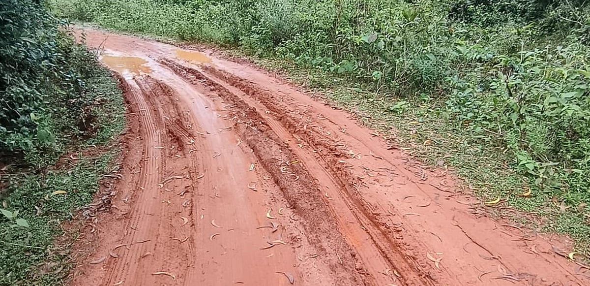 ಶೃಂಗೇರಿ | ಹದಗೆಟ್ಟ ಗ್ರಾಮೀಣ ಸಂಪರ್ಕ ರಸ್ತೆಗಳು: ಸಂಚಾರ ದುಸ್ತರ