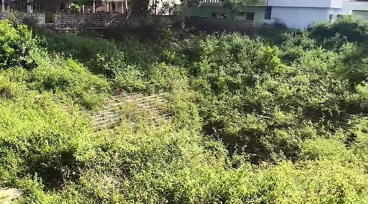 ಶಿಡ್ಲಘಟ್ಟ: ಶಾಮಣ್ಣಬಾವಿ ಕಳೆ ತೆಗೆದ ಯುವಕರು