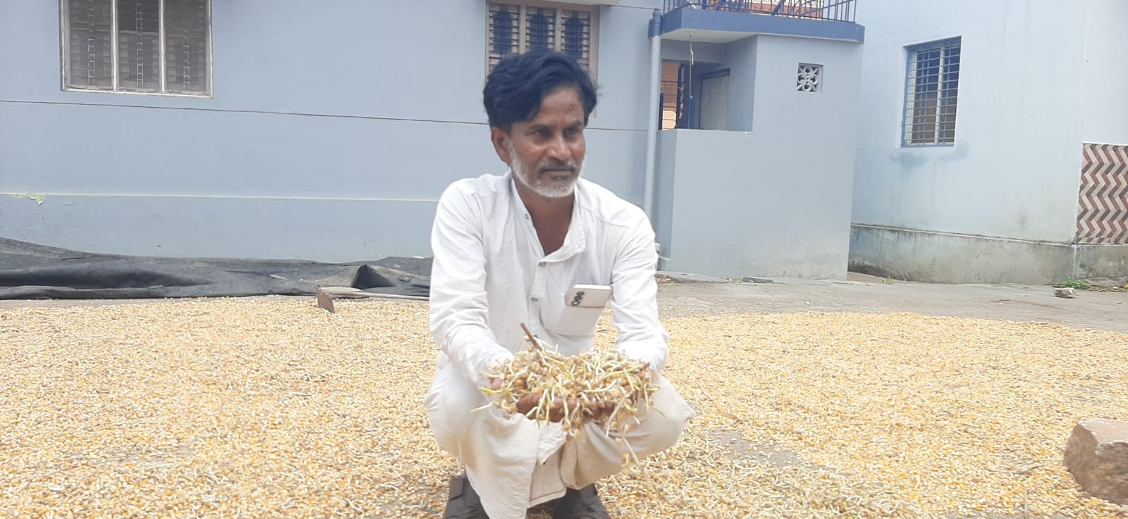 ಹೂವಿನಹಡಗಲಿ ಎಪಿಎಂಸಿ ಆವರಣದಲ್ಲಿ ಮೆಕ್ಕೆಜೋಳ ರಾಶಿ ಹಾಕಿರುವುದು